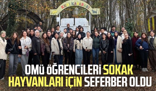 OMÜ öğrencileri sokak hayvanları için seferber oldu