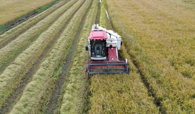 Bafra Ovası’nın Bölge Yaşamına Tarihsel Etkisi