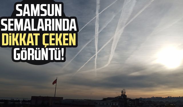 Samsun semalarında dikkat çeken görüntü!