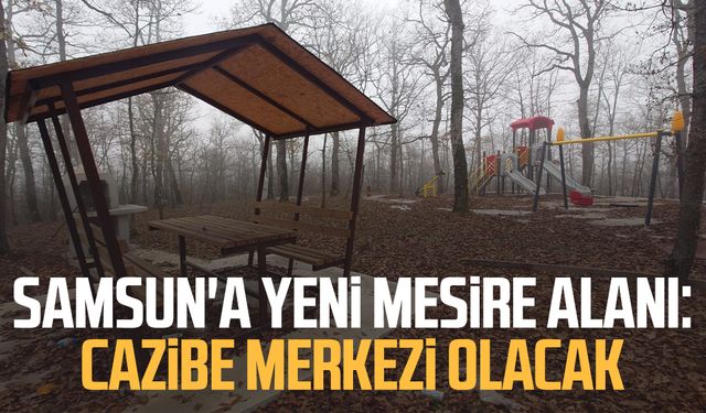 Samsun'a yeni mesire alanı: Cazibe merkezi olacak