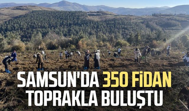 Samsun'da 350 fidan toprakla buluştu