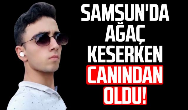Samsun'da ağaç keserken canından oldu: Tekin Gönültaş hayatını kaybetti