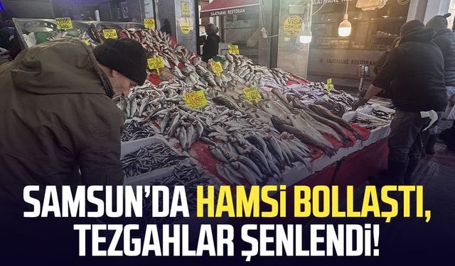 Samsun’da hamsi bollaştı, tezgahlar şenlendi!