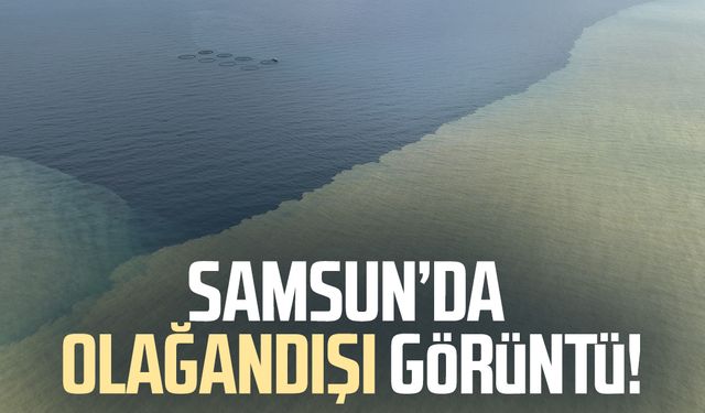 Samsun'da denizin rengi değişti: Olağandışı görüntü