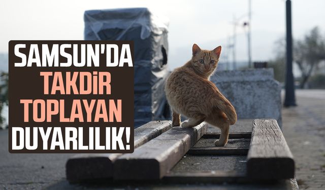 Samsun'da sahilde patililer için takdir toplayan duyarlılık!