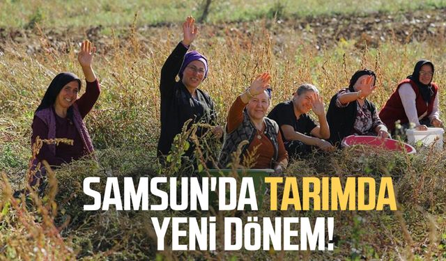 Samsun'da tarımda yeni dönem: Sözleşmeli üretim