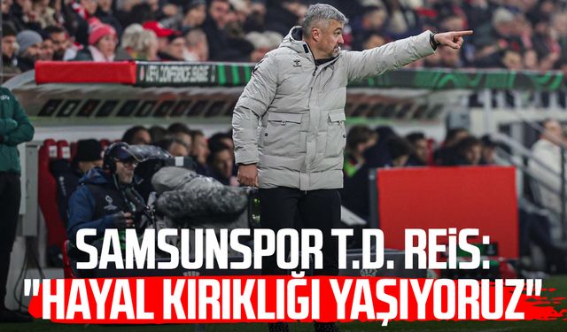 Samsunspor T.D. Thomas Reis: "Hayal kırıklığı yaşıyoruz"