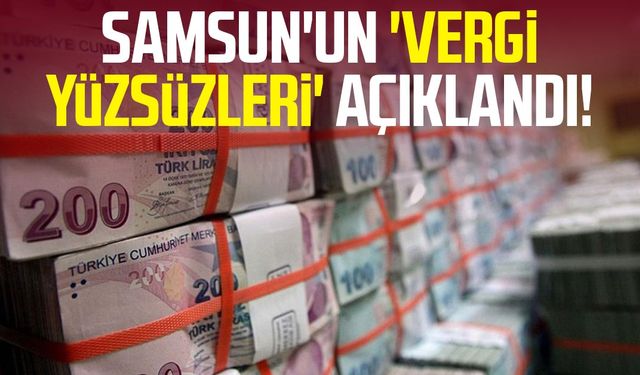Samsun'un 'vergi yüzsüzleri' açıklandı!