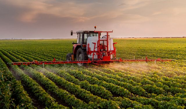 Çarşamba’da Tarımsal Üretimin Günlük Hayata Etkisi