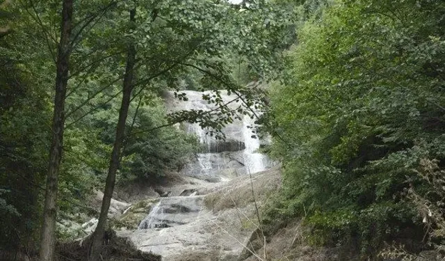 Tekkeköy’de Doğa ve Tarihin Birlikte Oluşturduğu Yaşam