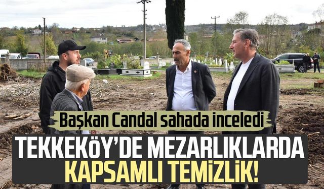 Tekkeköy’de mezarlıklarda kapsamlı temizlik!