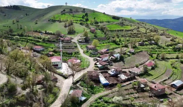 Alaçam’da Sessiz Kırsal Hayatın Korunan Ritmi