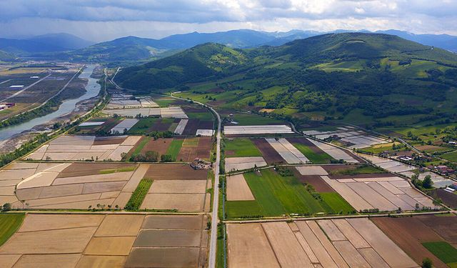 Bafra’da Mevsimlere Göre Değişen Ova Hayatı