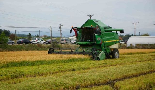 Bafra’da Toprakla Kurulan Güçlü Bağ
