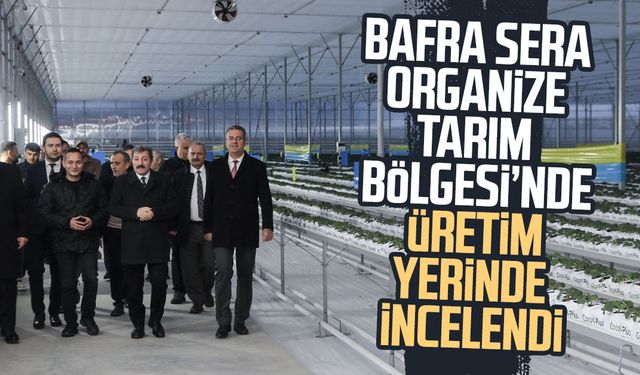 Bafra Sera Organize Tarım Bölgesi’nde üretim yerinde incelendi