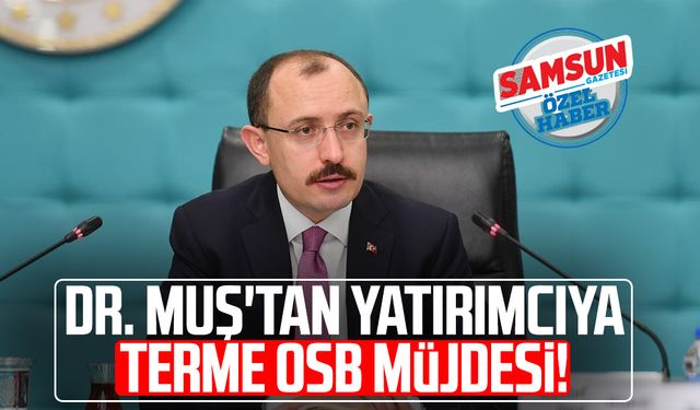 Dr. Mehmet Muş'tan yatırımcıya Terme OSB müjdesi!