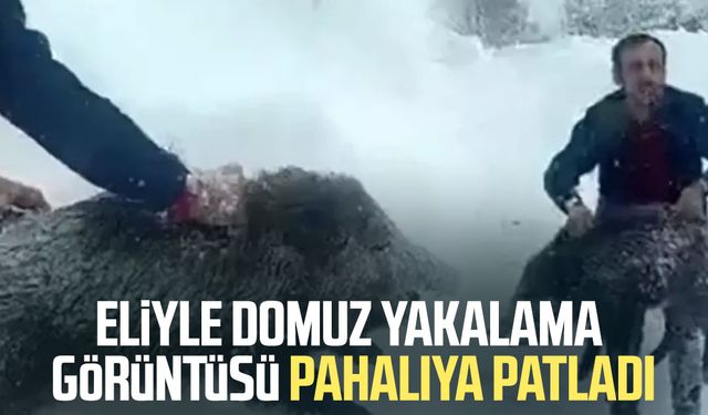 Eliyle domuz yakalama görüntüsü pahalıya patladı