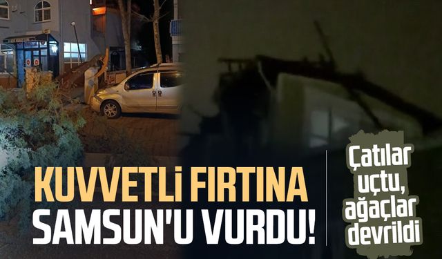 Kuvvetli fırtına Samsun'u vurdu! Çatılar uçtu, ağaçlar devrildi