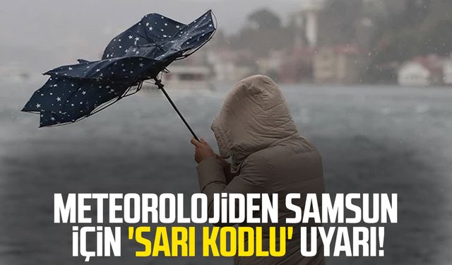 Meteorolojiden Samsun için 'sarı kodlu' uyarı! Aman dikkat