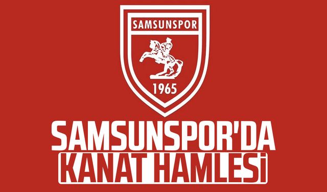 Samsunspor'da kanata Elayis Tavsan iddiası