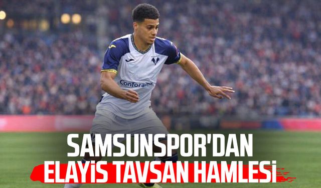 Samsunspor'dan kanat hamlesi: Elayis Tavsan gündemde