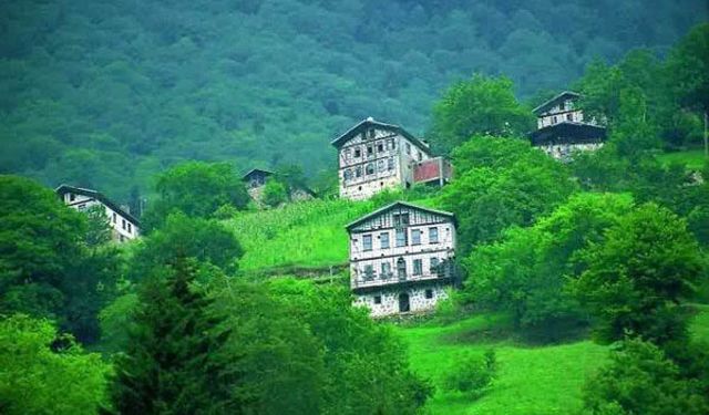 Salıpazarı’nda Orman Köylerinin Sessizliği