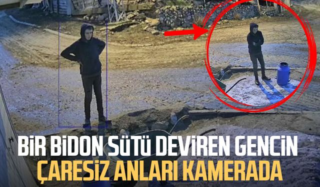 Bir bidon sütü deviren gencin çaresiz anları kamerada
