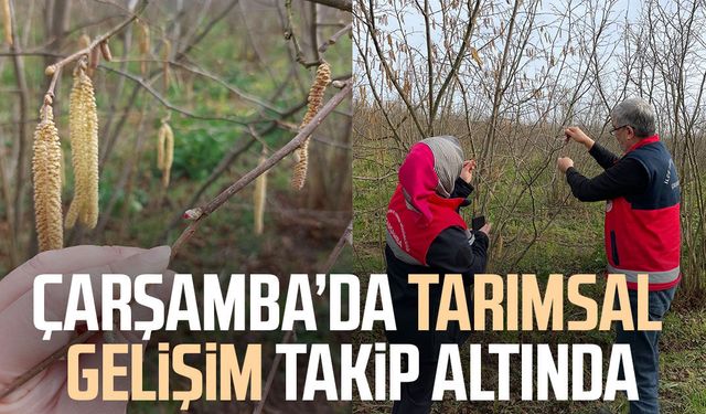 Çarşamba’da tarımsal gelişim takip altında
