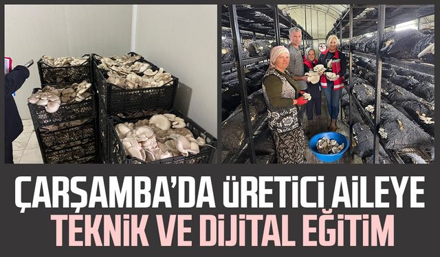 Çarşamba’da üretici aileye teknik ve dijital eğitim