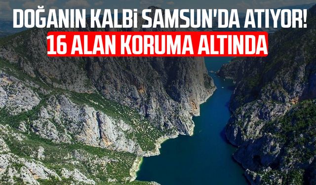 Doğanın kalbi Samsun'da atıyor! 16 alan koruma altında
