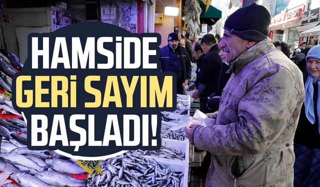 Ramazan öncesi balık tavsiyesi! Samsun'da hamsinin son günleri