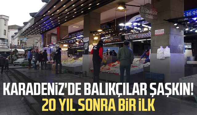 Karadeniz'de balıkçılar şaşkın! 20 yıl sonra bir ilk