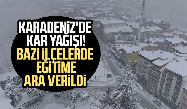 Karadeniz'de kar yağışı! Bazı ilçelerde eğitime ara verildi