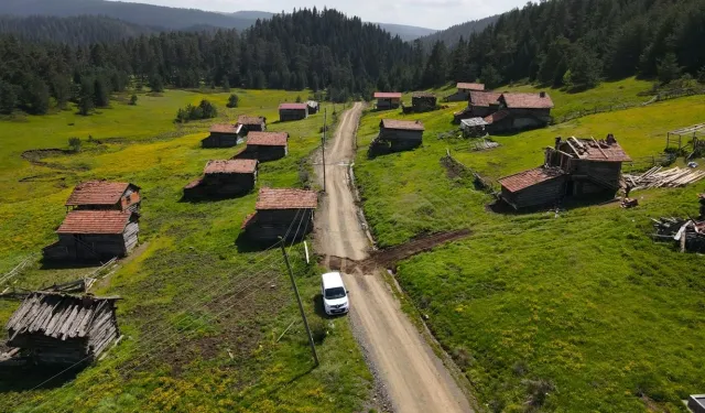 Kavak’ta Yayla Göçlerinin İlçe Kültürüne Yansıması