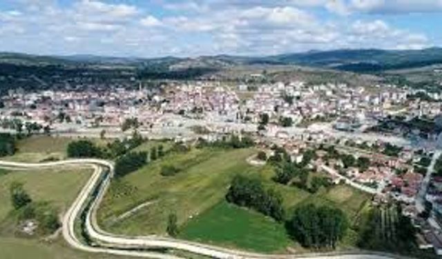 Kavak’ın Ormanlık Alanlarında Doğa Kaçamakları