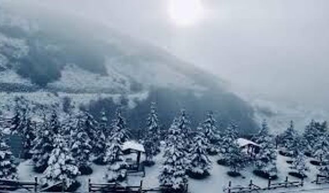 Ladik’te Doğa Fotoğrafçılığı Noktaları