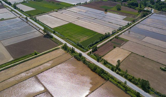 Bafra Ovası’nda Üretim Kültürü