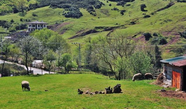 Salıpazarı’nda Kırsal Hayatın Sürekliliği