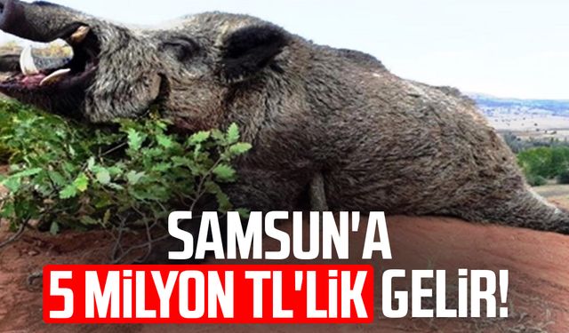 Samsun'a 5 milyon TL'lik gelir!
