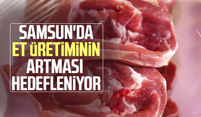 Samsun'da et üretiminin artması hedefleniyor