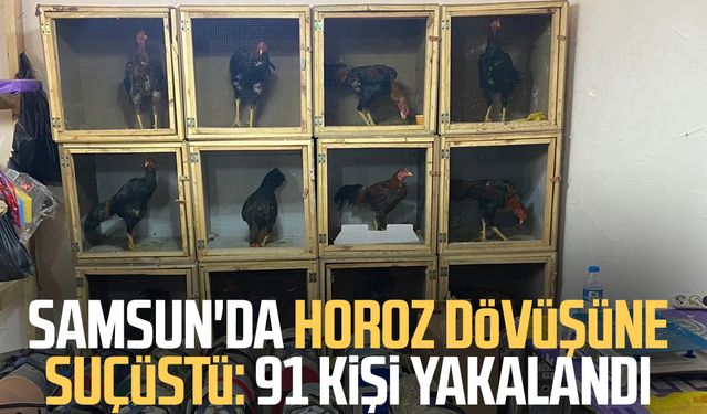 Samsun'da horoz dövüşüne suçüstü: 91 kişi yakalandı