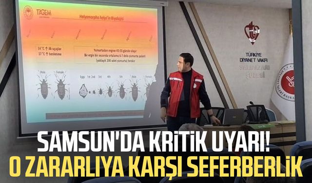 Samsun'da kritik uyarı! O zararlıya karşı seferberlik
