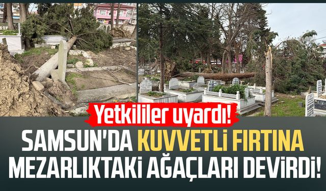 Samsun'da kuvvetli fırtına mezarlıktaki ağaçları devirdi!