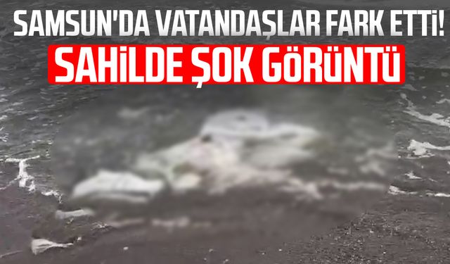 Samsun'da vatandaşlar kaydetti: Çuvallarla denize atmışlar