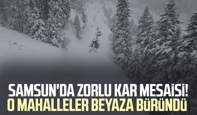 Samsun'da zorlu kar mesaisi! O mahalleler beyaza büründü