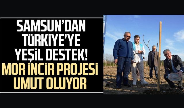 Samsun’dan Türkiye’ye yeşil destek! Mor incir projesi umut oluyor