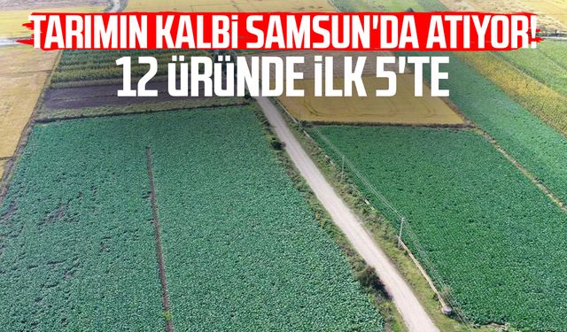 Tarımın kalbi Samsun'da atıyor! 12 üründe ilk 5'te