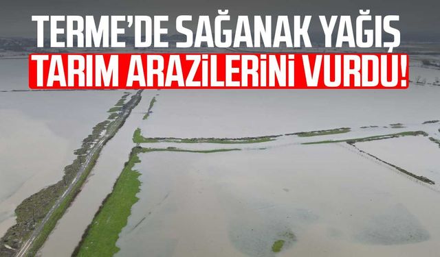 Terme’de sağanak yağış tarım arazilerini vurdu!