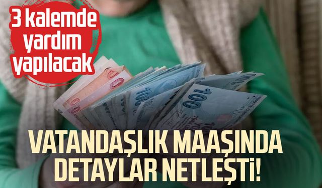Vatandaşlık maaşında detaylar netleşti! 3 kalemde yardım yapılacak