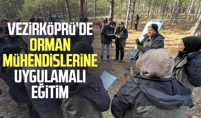 Vezirköprü’de orman mühendislerine uygulamalı eğitim